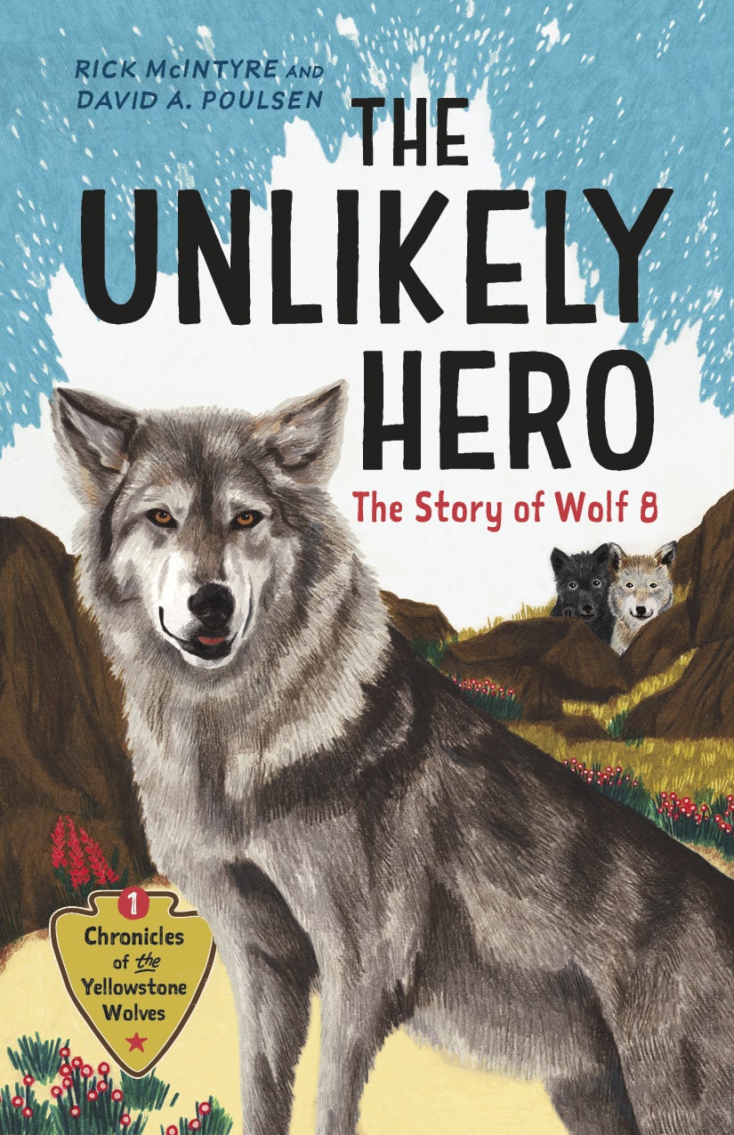Book cover image for The Unlikely Hero ISBN: 9781778400223